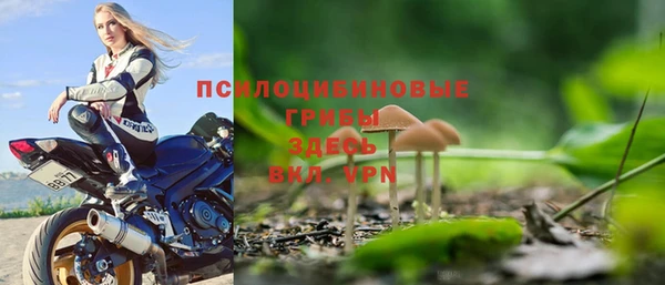 СК Осинники