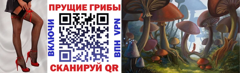 KRAKEN зеркало Киров Псилоцибиновые грибы прущие грибы