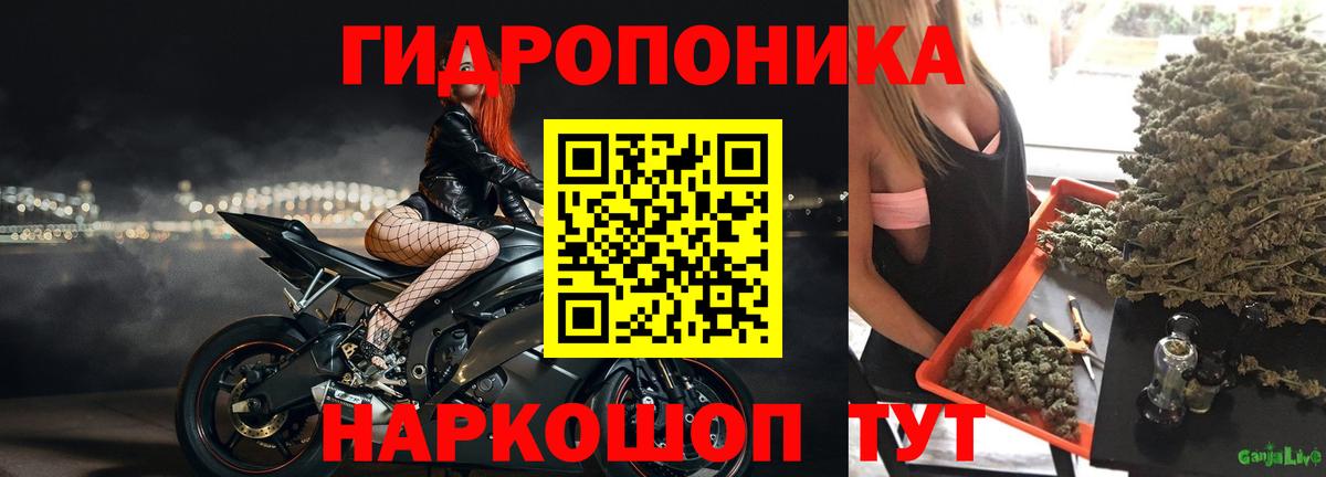 Конопля тримм  Вход с VPN  Канабис гибрид  Бошки Шишки Amnesia  Конопля THC 21%  Киров 