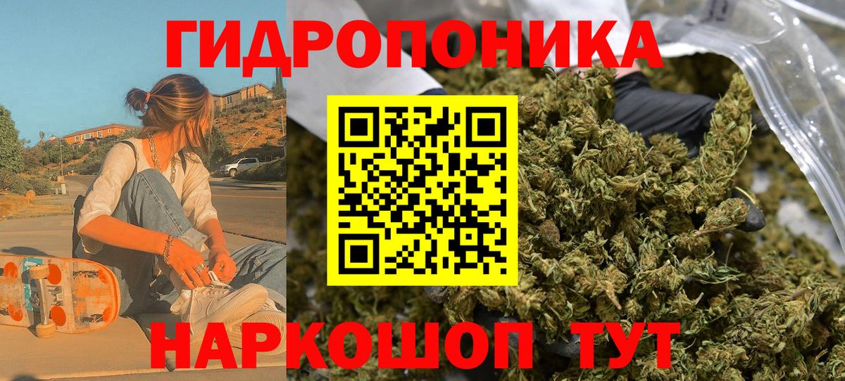 Шишки марихуана семена Киров